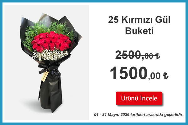 25 kırmızı gül kampanya