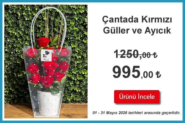 Çantada Kırmızı Güller ve Ayıcık