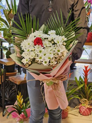 Beyaz Papatyalar İçinde Tek Kırmızı Gül