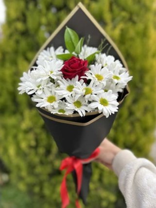 Beyaz Papatya Ortasında 1 Gül