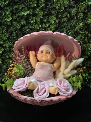 Kız Bebek Midye Teraryum