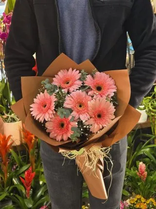 Pembe Gerbera Buketi