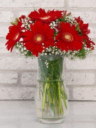 Cam Vazoda Kırmızı Gerberalar