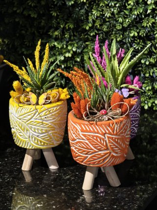 Ayaklı Saksıda Orta Boy Teraryum 