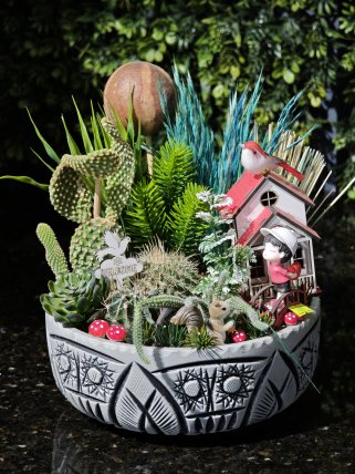 Büyük Boy Teraryum Bahçeler