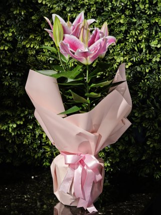 Mis Kokulu Lilyum Çiçeği