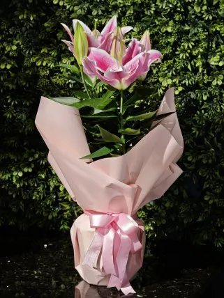 Mis Kokulu Lilyum Çiçeği