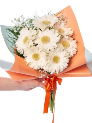 7 Beyaz Gerbera Buketi
