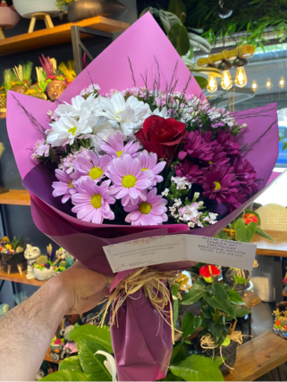 Renkli Papatyalar İçinde Tek Gül