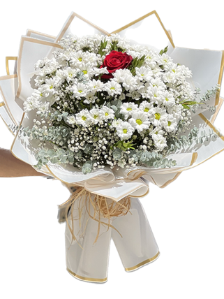 Masumiyet Beyaz Papatyalar İçinde Tek Gül