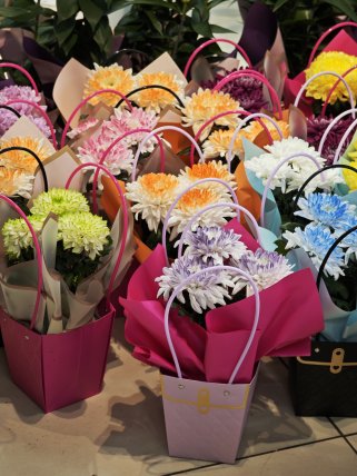 Özel Çantasında Anastasya Çiçeği 