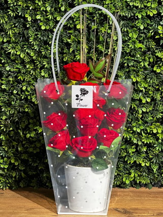 Çantada Kırmızı Güller ve Ayıcık