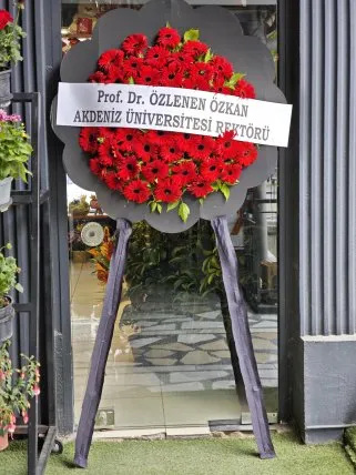Kırmızı Gerberalar Cenaze Çelengi