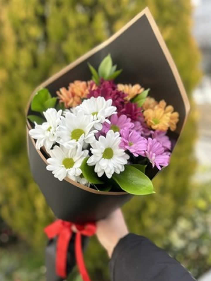 Renkli Papatya Demeti