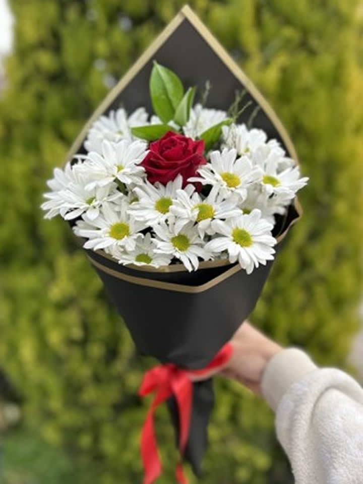 Beyaz Papatya Ortasında 1 Gül