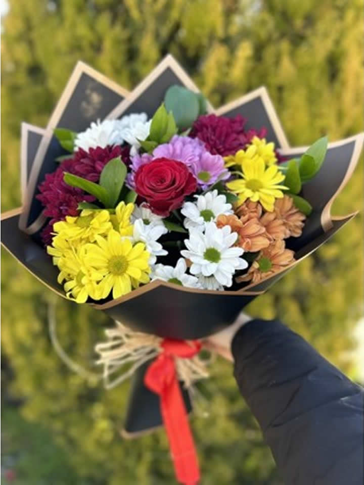 Kırmızı Gül, Renkli Papatya Buketi