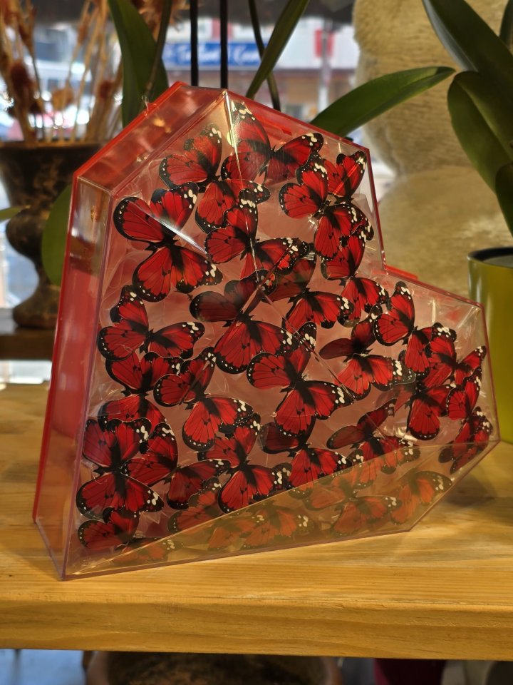 Işıklı Kalpli Kelebek Kutusu