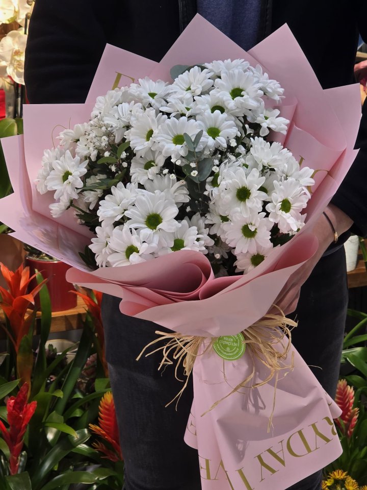 Pembe Ambalajlı Beyaz İthal Papatyalar