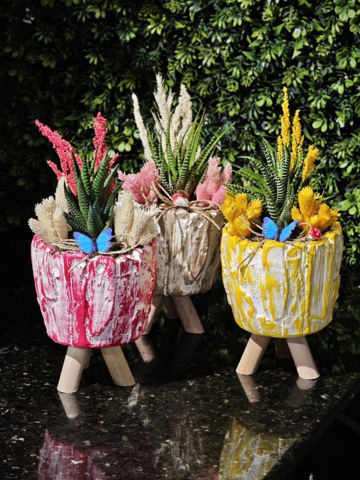 Ayaklı Saksıda Orta Boy Teraryum 