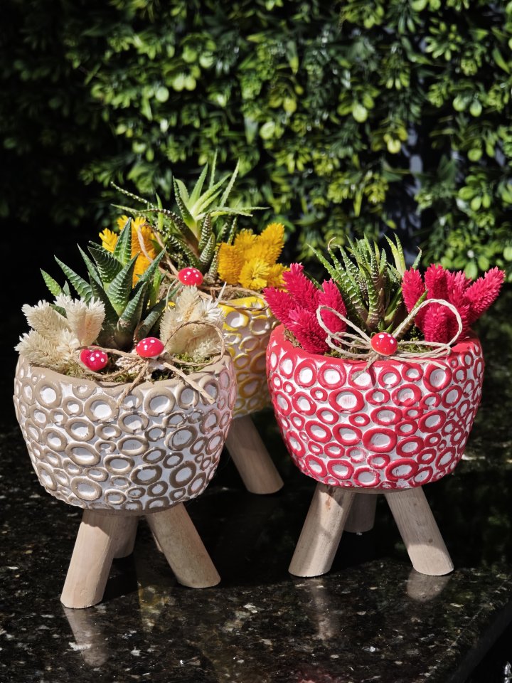 Ayaklı Saksıda Teraryum