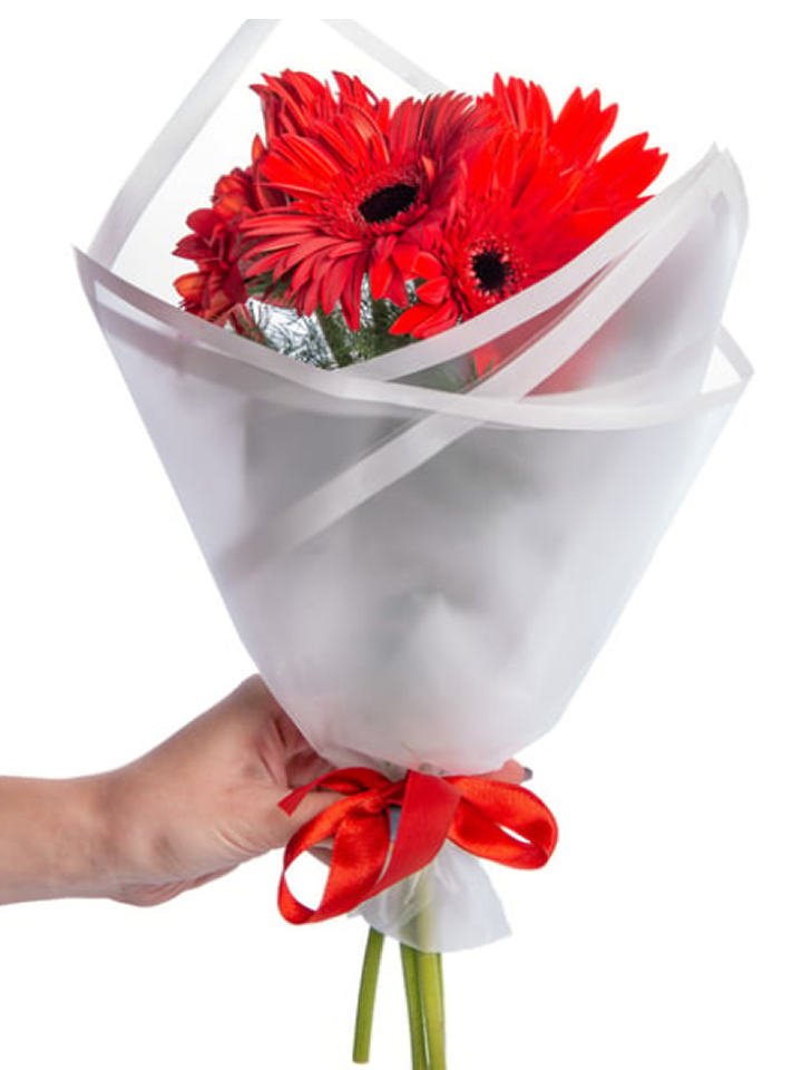 5 Kırmızı Gerbera Buketi