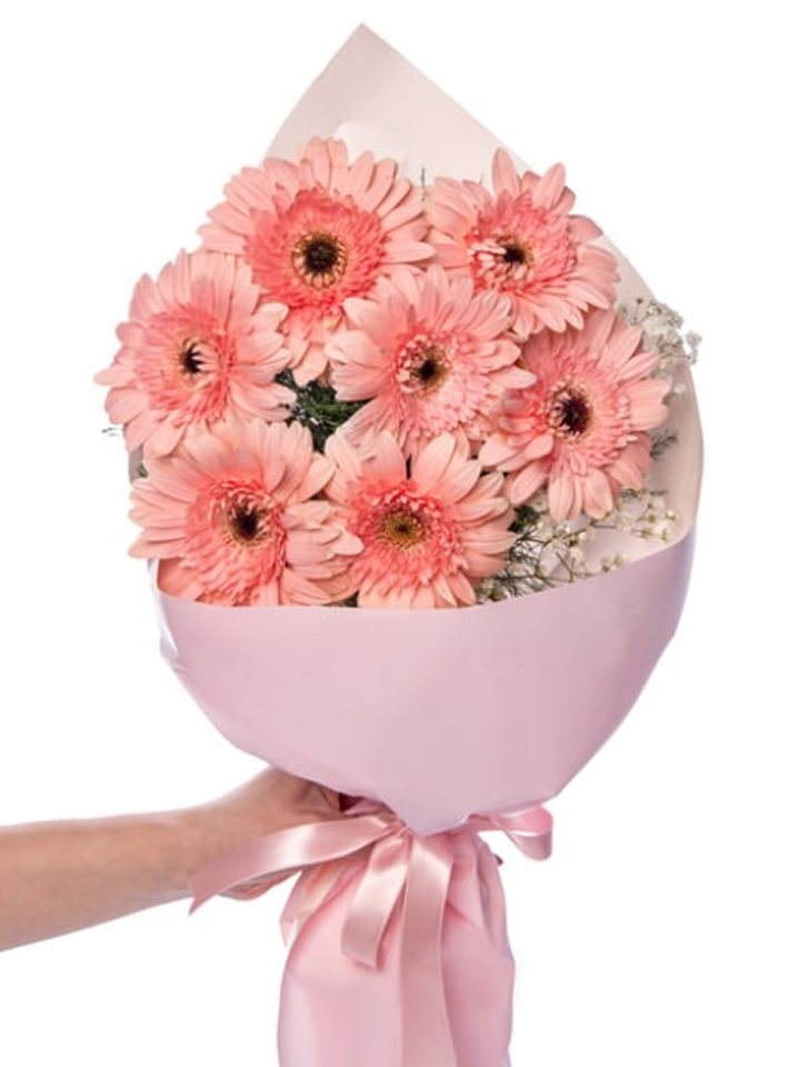 7 Pembe Gerbera Buketi