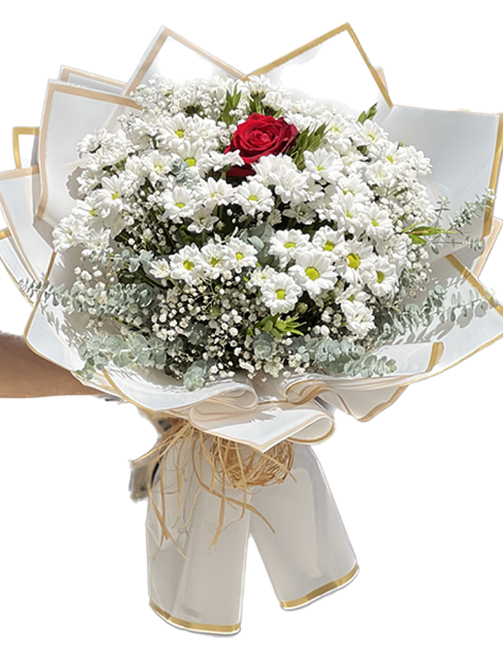 Masumiyet Beyaz Papatyalar İçinde Tek Gül