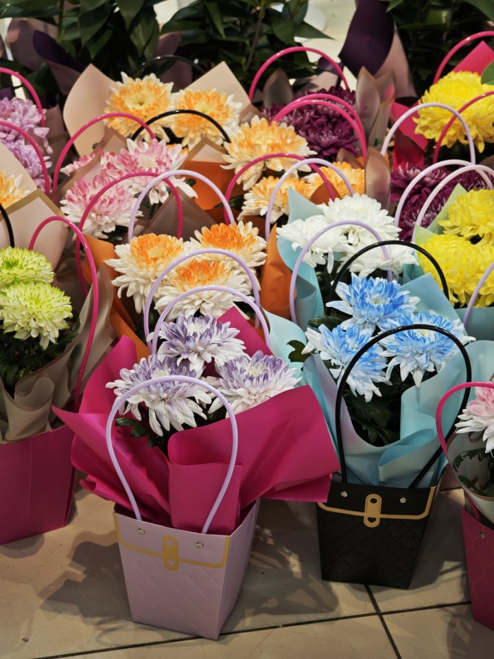 Özel Çantasında Anastasya Çiçeği 