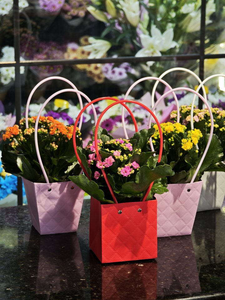 Renkli Çantalarda Renkli Kalanşo Çiçekleri