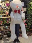 Çiçekçi - 150 cm Peluş Ayıcık