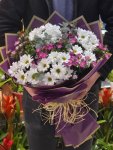 Çiçekçi - Beyaz Papatyalar ve Pembe Kır Çiçekleri