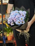 Çiçekçi - İthal Mavi Papatya Buketi