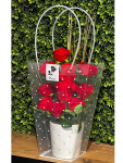 Çiçekçi - Çantada Kırmızı Güller ve Ayıcık